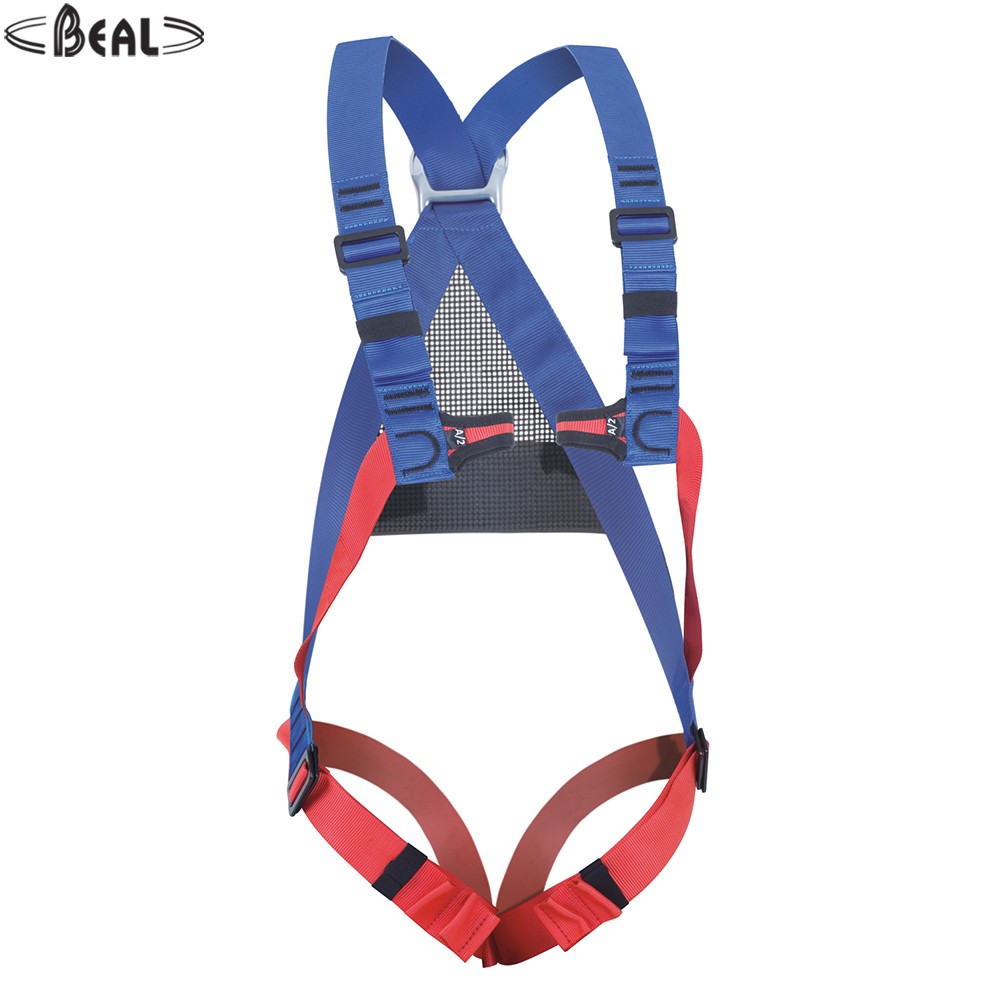 BEAl STYX Rescue Full Body Harness